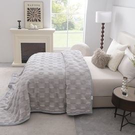 Teddy Mink Blanket Silver
