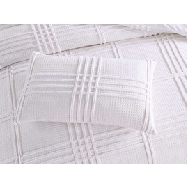 Manly [SIZE: European Pillow Case]