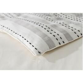 Brax [SIZE: European Pillow Case]