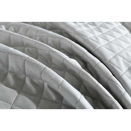 Emerson Silver [SIZE: Oblong Cushion]