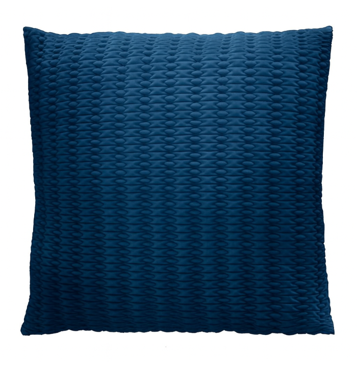 Blue Cushions