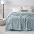 Teddy Mink Blanket Green